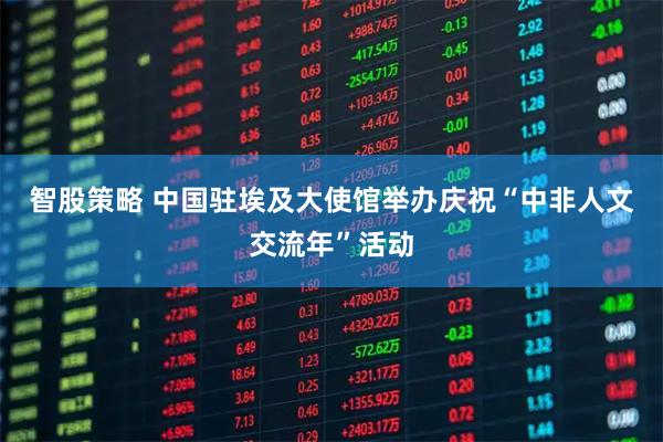 智股策略 中国驻埃及大使馆举办庆祝“中非人文交流年”活动