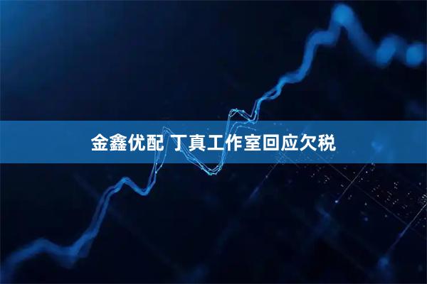 金鑫优配 丁真工作室回应欠税