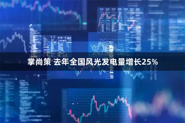 掌尚策 去年全国风光发电量增长25%